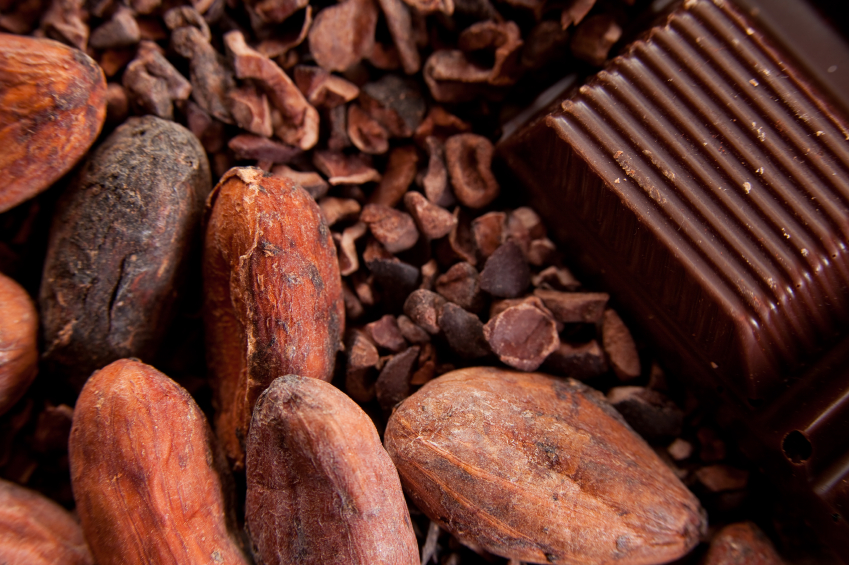 El cacao en bruto